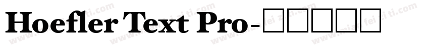 Hoefler Text Pro字体转换